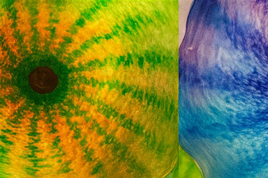 베타 구역의 치열한 경쟁 현장